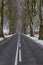 A narrow asphalt road leading between tall trees. Flattened perspective of a long road for cars