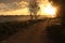 A narrow beach path under sunlight in the morning.