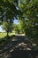 Narrow bike path between trees along wide agriculture fields in Brandenburg