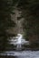 Narrow boardwalk through the dark forest