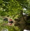 Narrow boat on the canal