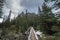 Narrow bridge along the trails at Lake O`Hara