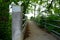 A narrow bridge with metal railings and concrete pylon surrounded by lush green vegetation .