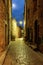 Narrow cobbled street with flowers in the old village at night,