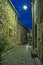 Narrow cobbled street with flowers in the old village Tourrettes-sur-Loup at night, France.