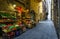 Narrow cozy street in Florence, Tuscany