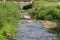 Narrow creek in small town of Carpathians