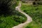 Narrow curved path going through green grass in the park on a sunny day