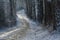 Narrow curvy country road from cobblestone in winter covered with ice and snow between dark tree trunks  idyllic landscape but