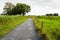 Narrow cycling and walking path between reed and a fence