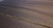 Narrow diagonal tracks crossing brown plowed field in spring