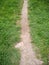 a narrow dirt path between the green grass. walk in the spring