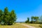 Narrow dirt path in a meadow