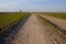 A narrow dirt road in an evening field. Clear blue sky over the field