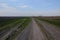 A narrow dirt road in an evening field. Clear blue sky over the field