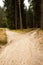 Narrow dirt road leading to two different track along trees