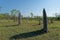 The Narrow Edged Magnetic Termite Mounds