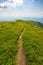 Narrow foot path through the grassy hill