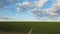 Narrow footpath across a growing wheat green field below a blue sky. Natural spring vertical orientation minimalist background. Pe
