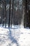 Narrow footpath being trodden in snowy forest