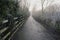 A narrow footpath recedes in to the mist