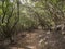 Narrow footpath on Sendero de los Sentidos path od the senses in