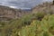 A narrow Footpath wends its way between the steep cliff edges of a Volcanic Valley with Cacti Plants.