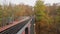 Narrow gauge bridge in the park