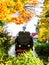 Narrow-gauge railway in autumn landscape of Wernigerode - German