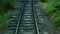 Narrow-gauge railway, rails and sleepers in the forest, slow motion