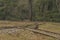 Narrow gauge in spring cloudy day in Grube Tannenberg in Krusne mountains