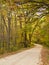 Narrow Gravel Road Curving Under Autumn Trees