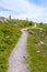 Narrow hiking trail in alpine nature