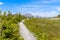 Narrow hiking trail in alpine nature