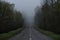 A narrow hilly road in a foggy forest