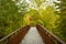 Narrow metal gangway in a park, France surrounded by lush autumn vegetation