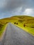 Narrow mountain road ascends lonely. Horses graze on green pastures. French Pyrenees, Camino de Santiago