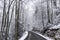 A narrow mountain road in Tennessee is covered with snow.