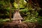 Narrow old wooden bridge