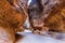 A narrow passage between steep rock formations in the siq at Pet