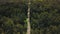 Narrow path in forest to lake, aerial view