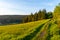Narrow path in the meadow on sunny summer evening. Scenic natural landscape of Jizera Mountains