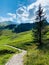 Narrow path in the Swizz Alps with beautiful view