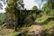 Narrow path to abandoned 1960s` apartment building in weeds