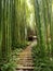 Narrow pathway through bamboo wood forest, generative ai