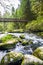 Narrow pedestrian bridge over a small mountain river with boulders overgrown with bright green moss in a wild forest