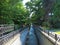 A narrow river fenced with borders on both sides in a green shady park