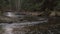 Narrow river flowing in an old grown forest. Fresh spring water stream running trough rooks in the woods