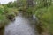 The narrow river is surrounded by green banks