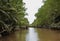 A narrow riverbed in the Mekong Delta.